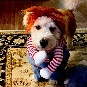 Meet your Posher, Lexy